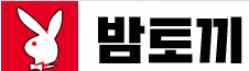 밤토끼